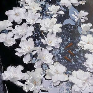 极品粉色美女身材高大全图片视频
