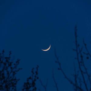 极品粉色美女身材高大全图片视频
