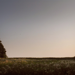 极品粉色美女身材高大全图片视频
